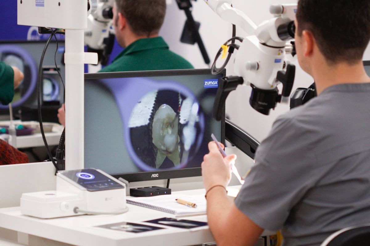 szkolenia stomatologiczne pod mikroskopem